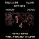 ������� � ����������: ���������������� ���������� ������ � �����.