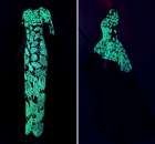 ���������������� ���������� ������ ������� ��� ����� - ����������� 3