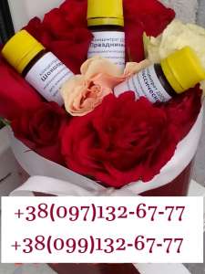 ���������������� ����������� � �������������, �����. ��������� �������� ETOL. - ����������� 1