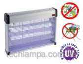 ������� � ����������: ���������������� ������������ ��������� � �����