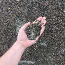 ������� � ����������: ����������������� � �������������� ���������