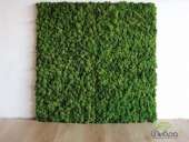 ����������������� ��� ���, ������� � ������� - ����������� 1