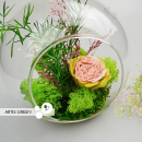 ����������������� ���, ����� � ������ �� ���. - ����������� 3