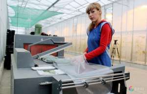 ���������,�������� �����, ��������� - ����������� 1