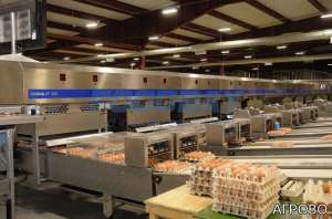 ����������������� ������ Omnia 330 �/� 2012 �. - ����������� 1