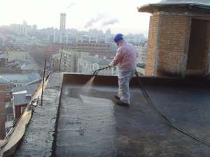 ����������������� ������ ���� �����. ������������� ���� . ������������������ - ����������� 1