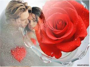 �����������,������ ������ �������� ������� ������ ��������� - ����������� 1