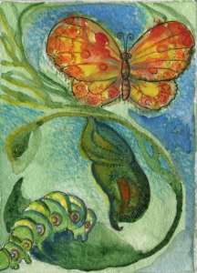 ����������������� ������� "�� ������� � �������" - ����������� 1