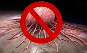 ����������������� ������� ���� - ����������� 1