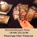 ������� � ����������: �����������������. �������. �����������.