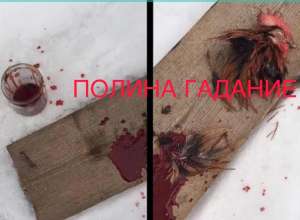 �����������������. ��������� ����� ��� ������ �����. � ������ �������� ��������, ��������� � ����������.100 ������� �� �������� - ����������� 1