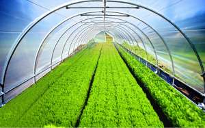 ����������������� ��������� ������ - ����������� 1