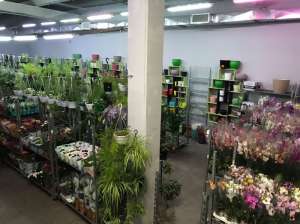 ��������-��������� ������-��������� ������ � �. ������� - ����������� 1