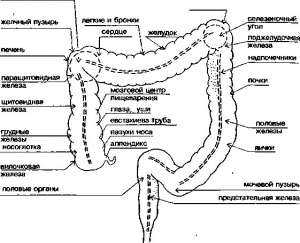 ������������������ � �������������. - ����������� 1