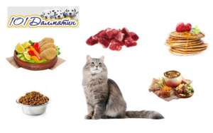 ��������-���������� - �������� ������� �� ������� ������� ��� ������ ��������� - ����������� 1