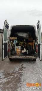 ������������������. �������� �����������. �������� ����. - ����������� 1