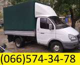 ������� � ����������: ������������������� ������� ��������. ����, �������.