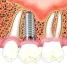 ������� � ����������: ����������-�����������