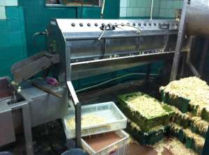 ��������������������� ������������ - ����������� 1