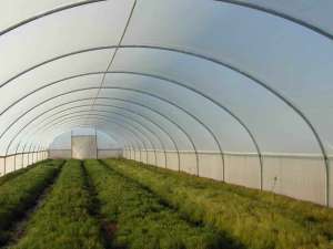 �������,�������������� �����,��������� �����. - ����������� 1