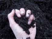 ��������,�����,����,����� ���������� - ����������� 3