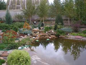 ������������,�����������, ���������, ����������� ������. - ����������� 1