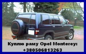 ����������(���������������) ������������������ (Opel Monterey) - ����������� 1