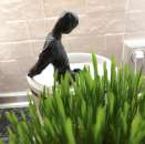 ���������,��������,��������,��������� ���������,��������� � ������ �����. - ����������� 3